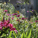 0724_3086 Ahhh, my garden by pennyrae