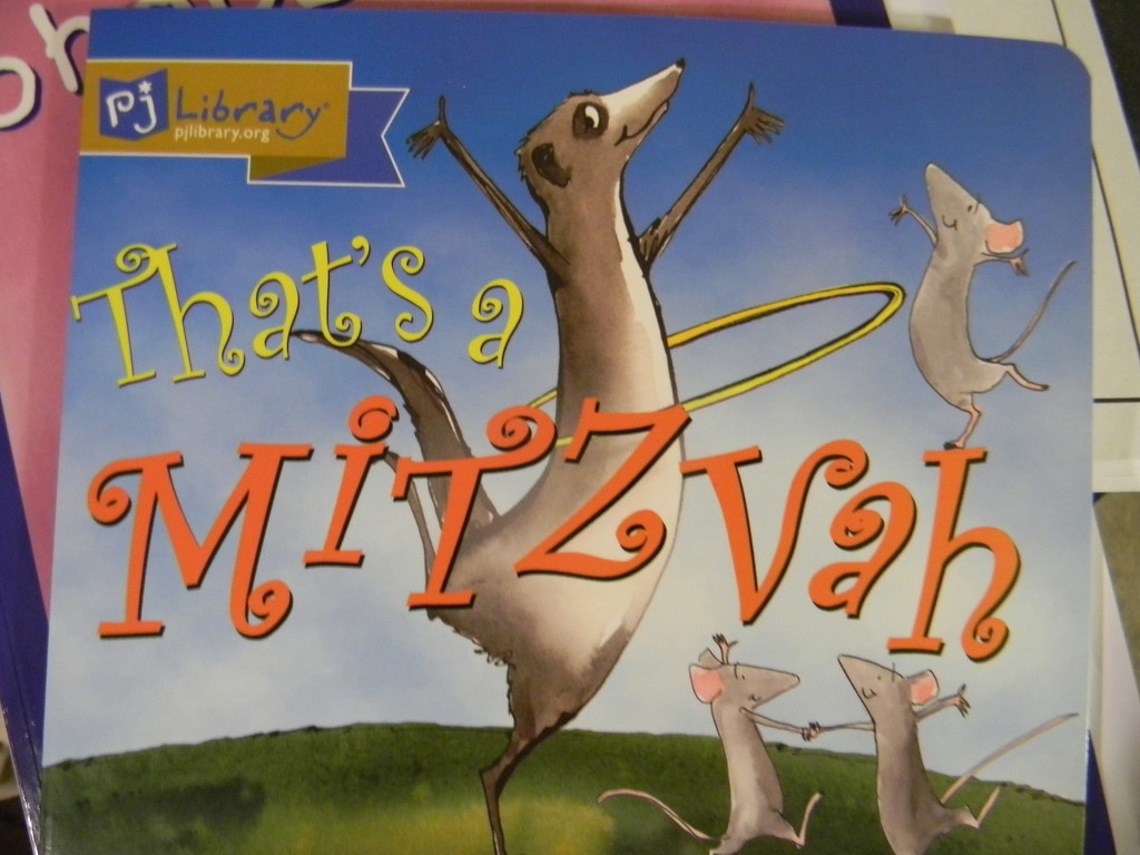 That's a Mitzvah Book by sfeldphotos