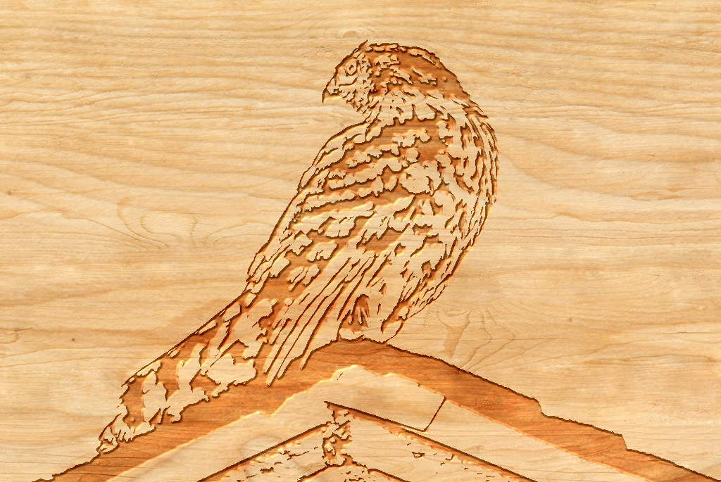 Woodcut Hawk by ingrid01