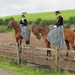 side-saddle dressage in historic costume by anniesue
