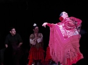28th Jul 2017 - Flamenco Santa Barbara