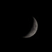 Tonight's 26% Moon - Eclipse is coming! by mikegifford