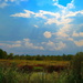 Summer skies over the marsh, Caw Caw Interpretive Center, Ravenel, SC by congaree