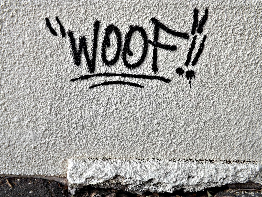 Woof! by ajisaac