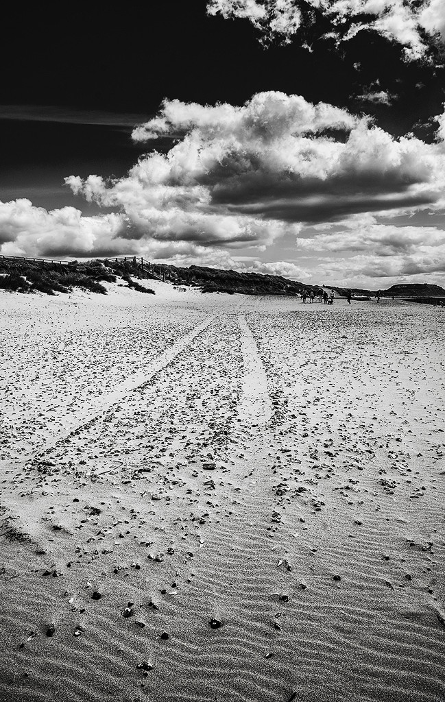Sand Tracks by davidrobinson