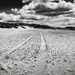 Sand Tracks by davidrobinson