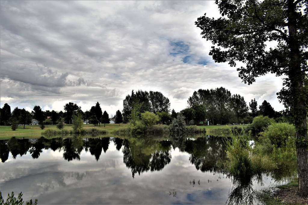 Greenbriar Park Pond by sandlily