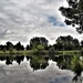 Greenbriar Park Pond by sandlily