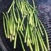 Day 332:  Asparagus?  At A BBQ Contest?? by sheilalorson