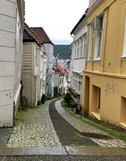 28th Jul 2017 - Bergen