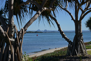 21st Jul 2017 - Glasshouse Mountains from Bribie Island