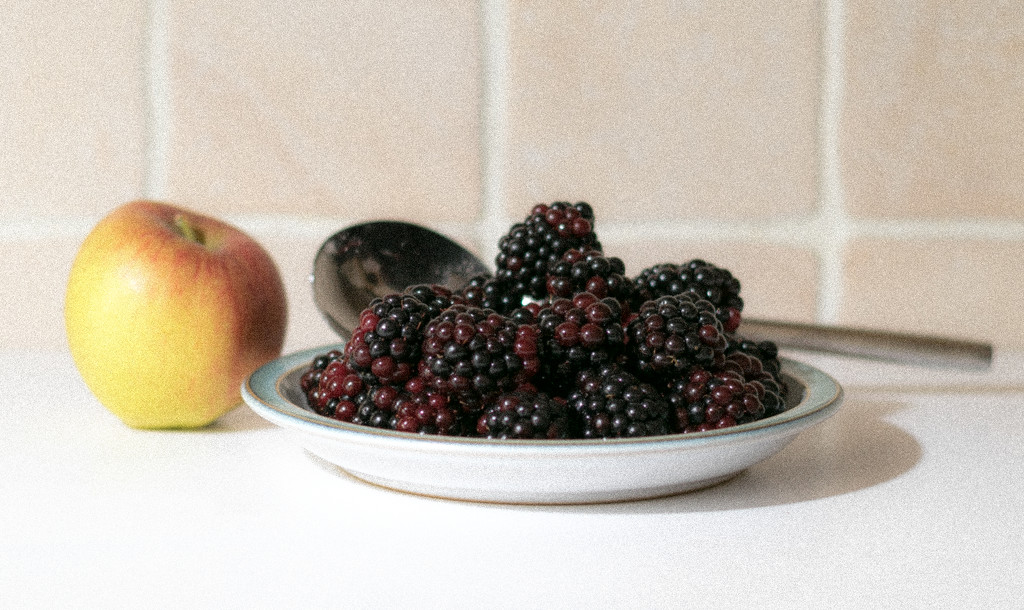 Blackberries and Apple 2 by peadar