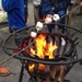 Toasting marshmallows by happypat
