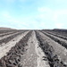 Peat  Cutting  by lifeat60degrees