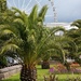 Torquay Big Wheel & Gardens by cookingkaren