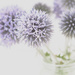 lilac spikes by pistache