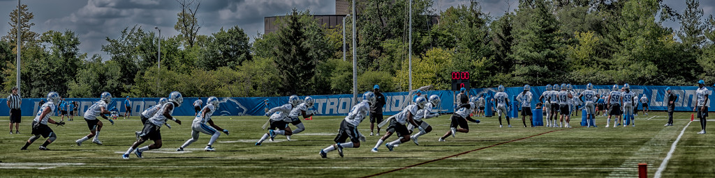 detroit lions training camp by jackies365