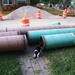 Cubbie, The Cat Pipeline Inspector by randy23