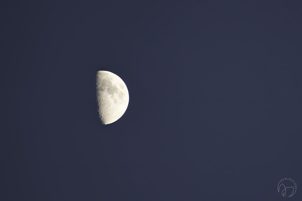 Another Moon Shot by evalieutionspics