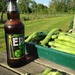 Broad Beans and Beer by helenmoss
