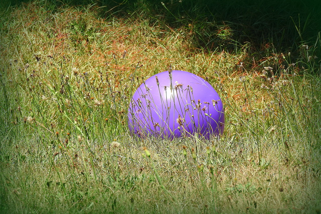 A lost ball in high weeds by homeschoolmom