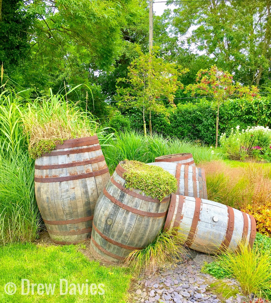 Barrels  by 365projectdrewpdavies