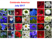 31st Jul 2017 - Red, White, and Blue - Celebration!