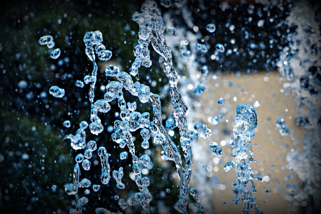 Water Drops by farmreporter