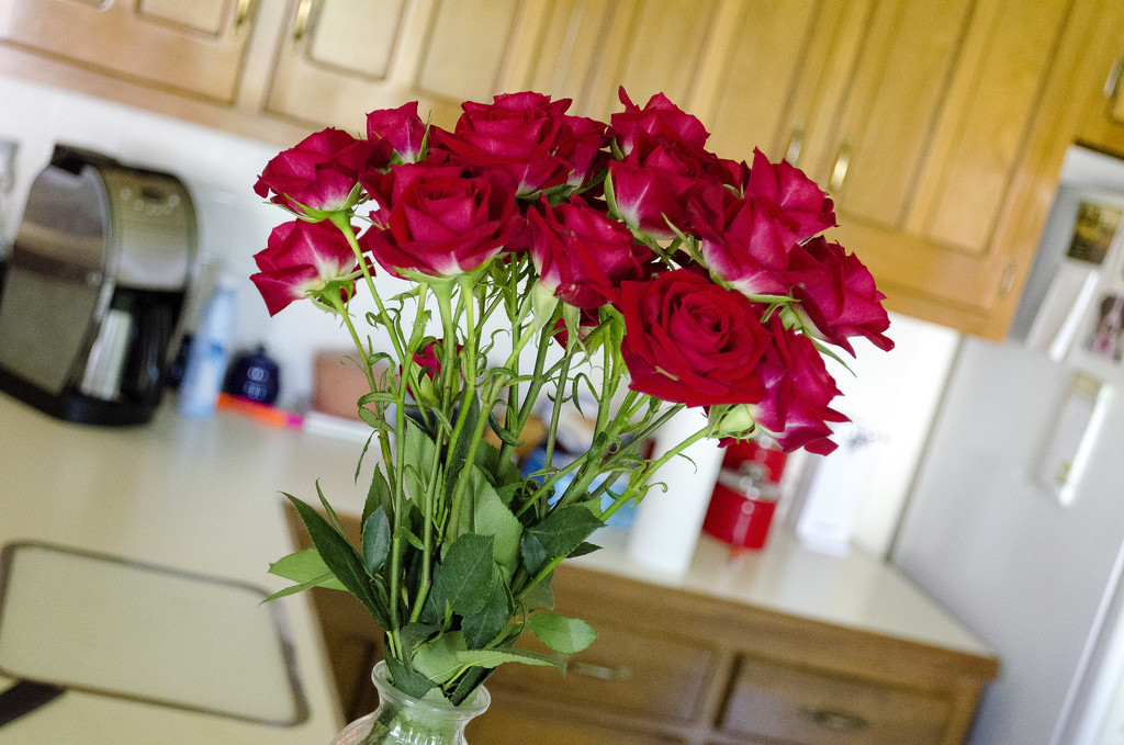 Anniversary flowers light up the kitchen by ggshearron