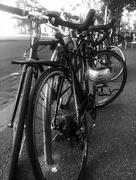 1st Aug 2017 - Melbourne; bicycle city 