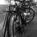 Melbourne; bicycle city  by pusspup