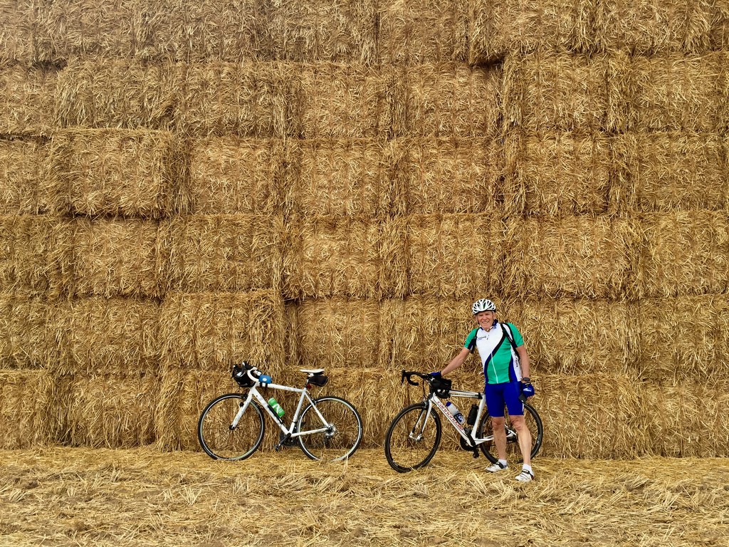 A Wall of Hay by jamibann