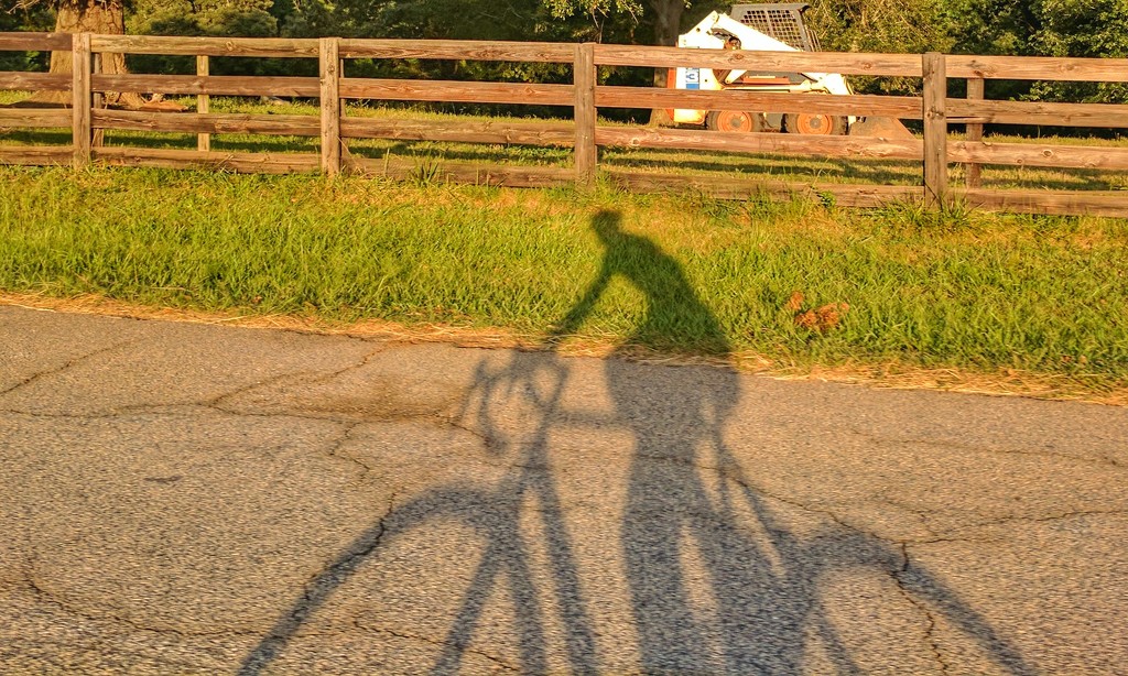 Shadow cyclist by scottmurr