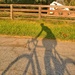 Shadow cyclist by scottmurr
