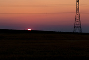 16th Jul 2017 - sunset through the wires