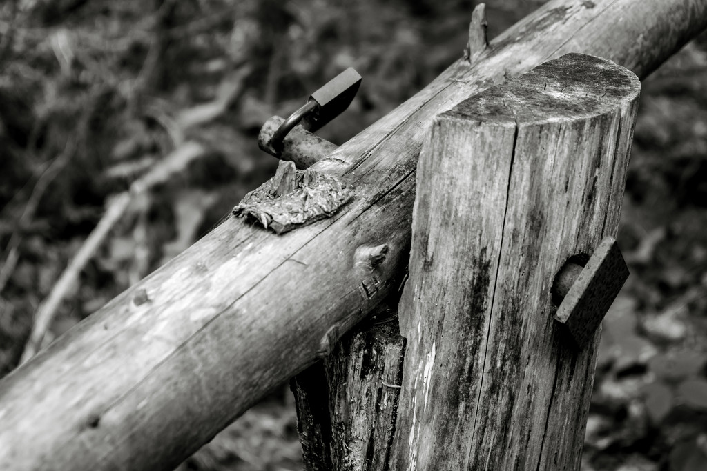 Occasional Fence Post 24 - Locked Together by vignouse