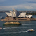 Busy Boats in Sydney Harbor _0042 by jyokota