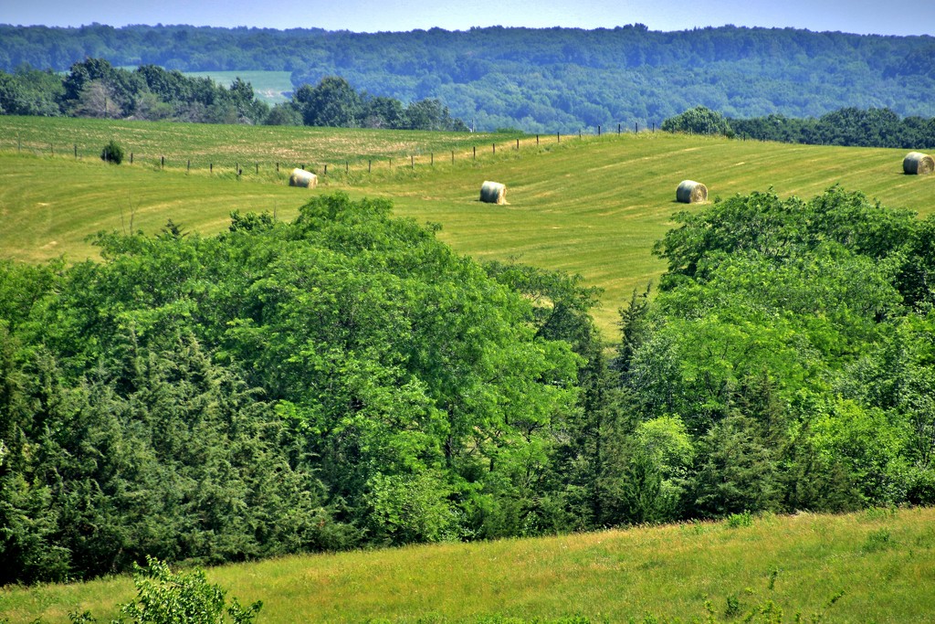 Iowa Landscape by lynnz