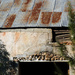Detail on an Old Barn by salza