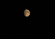 3rd Aug 2017 - Orange Moon