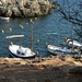 More boats Binibequer by caterina