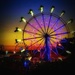 Our State Fair by gardenfolk