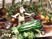 5th Aug 2017 - It's the wrong marrow Gromit!