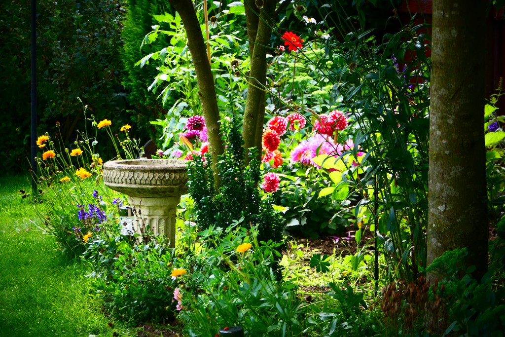 Summertime Garden by carole_sandford