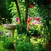 Summertime Garden by carole_sandford