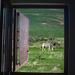 A Wishful View Through the Door by salza