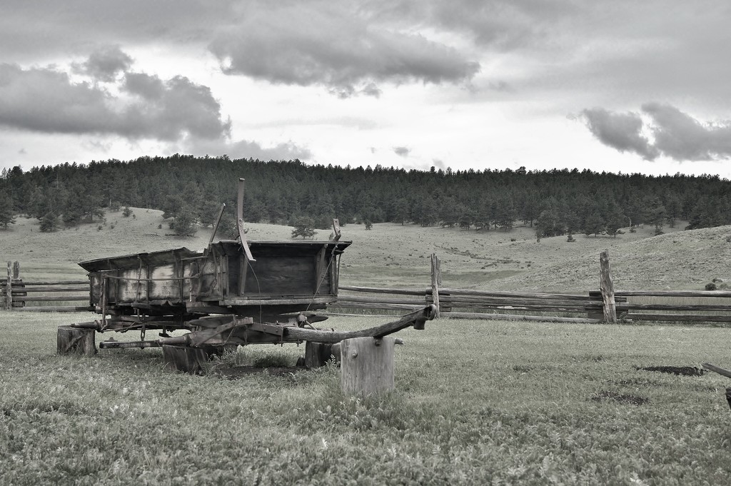 An old wagon from the homestead by dmdfday
