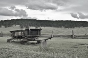 5th Aug 2017 - An old wagon from the homestead