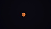 5th Aug 2017 - Orange Moon