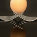 An Egg Instead Of Eyes...._DSC5313 by merrelyn
